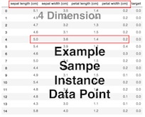 머신러닝 용어: Example, Sample & Data Point