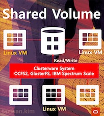 [OCFS2]OCI Shared Block Volume 구성